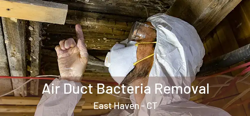 Air Duct Bacteria Removal East Haven - CT