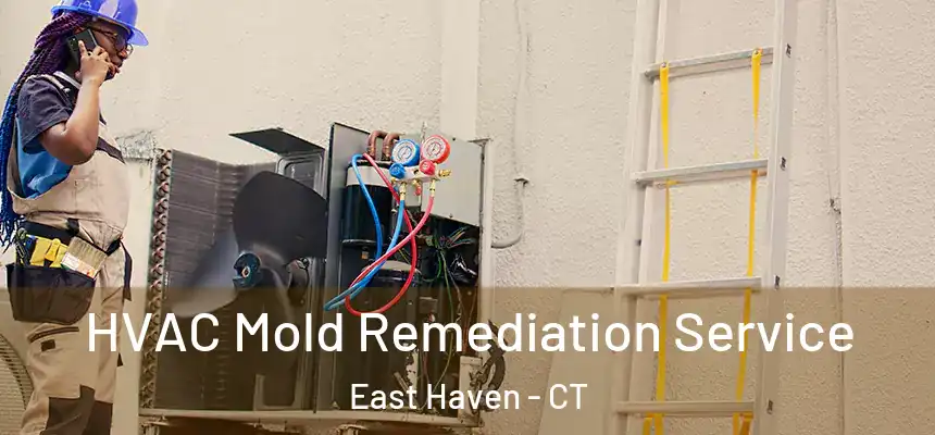  HVAC Mold Remediation Service East Haven - CT