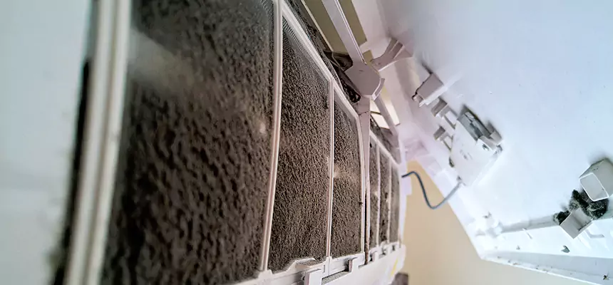 Preventive Air Duct Bacteria Removal in East Haven