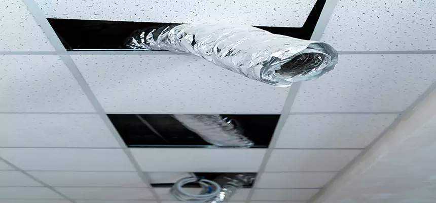 Our Air Duct Pet Hair Removal Services in East Haven, CT