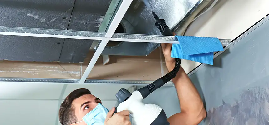 Our Air Duct Rodent Removal Services in East Haven, CT