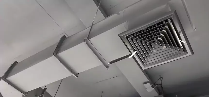 Our Pest Removal From Ducts Services in East Haven, CT