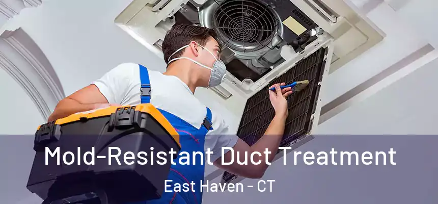  Mold-Resistant Duct Treatment East Haven - CT