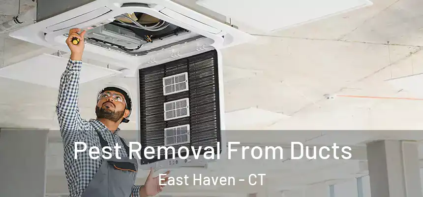  Pest Removal From Ducts East Haven - CT