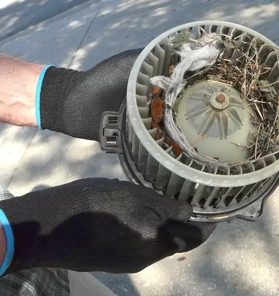 About Air Duct Mice Removal in East Haven, CT