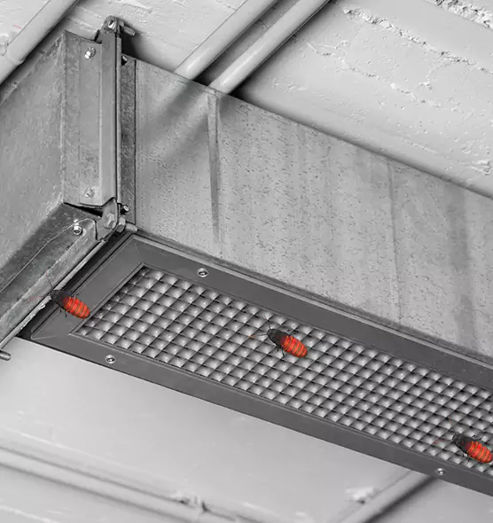 Affordable Insect Removal from Air Ducts in East Haven, CT