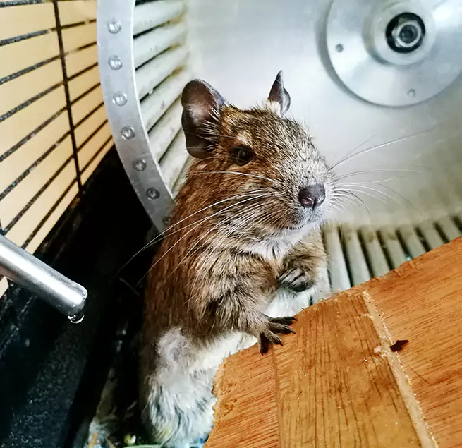 Why Homeowners & Businesses Trust Us East Haven, CT?