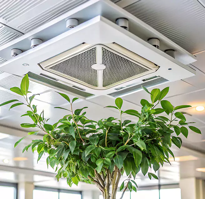 Why Homeowners & Businesses Trust Us in East Haven, CT?